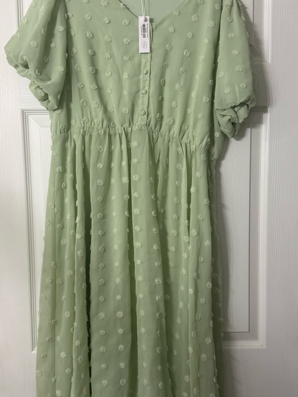 Baltic Born: Light Green Midi Dress with Swiss Dot Texture